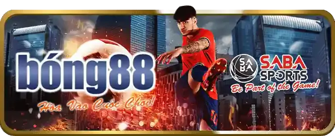 Trải nghiệm tối ưu trên di động